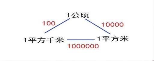 1hm2等于多少m2等于多少亩(1hm2等于多少m2思维导图怎么做-)