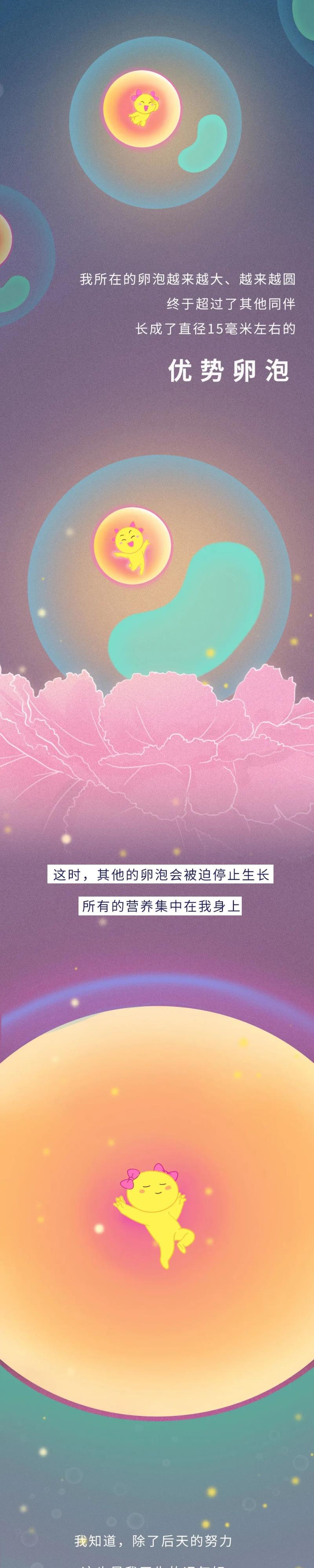 卵子是什么样的(白带跟卵子图片)