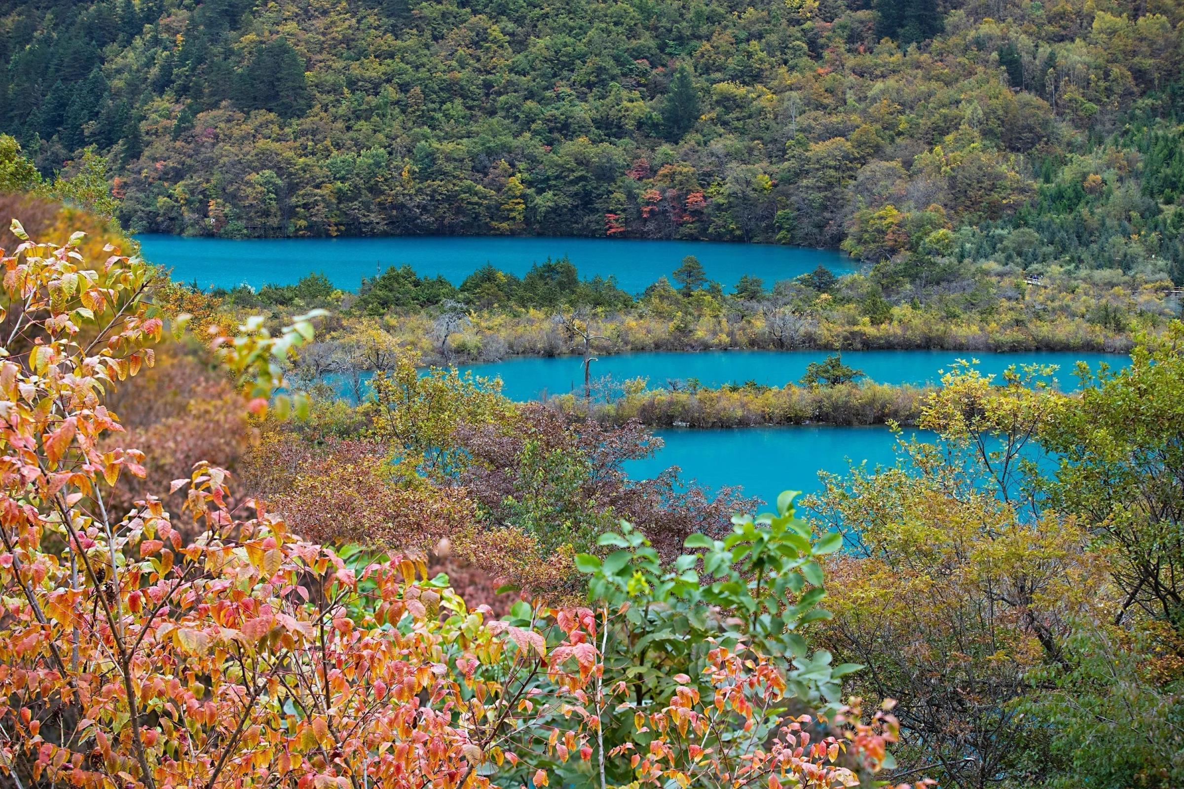 去九寨沟旅游要多少钱(九寨沟几月份去最好)