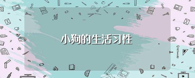 小狗的生活习性(大家一起来看看吧)