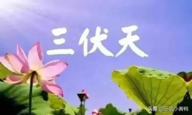 暑伏是从哪一天开始(暑伏是从哪天开始哪天结束)